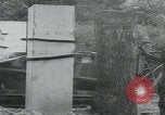 Image of Saint Marcouf liberation Saint Marcouf France, 1944, second 41 stock footage video 65675080765