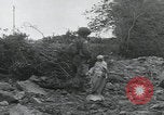 Image of Saint Marcouf liberation Saint Marcouf France, 1944, second 48 stock footage video 65675080765