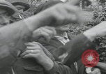 Image of Saint Marcouf liberation Saint Marcouf France, 1944, second 58 stock footage video 65675080765