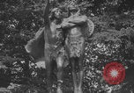 Image of Washington Park statues Portland Oregon USA, 1918, second 38 stock footage video 65675080778