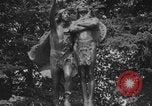 Image of Washington Park statues Portland Oregon USA, 1918, second 39 stock footage video 65675080778