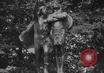 Image of Washington Park statues Portland Oregon USA, 1918, second 41 stock footage video 65675080778