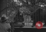 Image of Portland Zoo bears Portland Oregon USA, 1918, second 3 stock footage video 65675080779