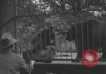 Image of Portland Zoo bears Portland Oregon USA, 1918, second 4 stock footage video 65675080779
