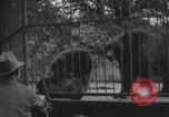 Image of Portland Zoo bears Portland Oregon USA, 1918, second 5 stock footage video 65675080779