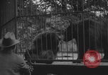 Image of Portland Zoo bears Portland Oregon USA, 1918, second 6 stock footage video 65675080779