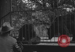 Image of Portland Zoo bears Portland Oregon USA, 1918, second 8 stock footage video 65675080779