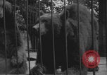 Image of Portland Zoo bears Portland Oregon USA, 1918, second 21 stock footage video 65675080779