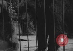 Image of Portland Zoo bears Portland Oregon USA, 1918, second 23 stock footage video 65675080779