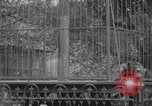 Image of Portland Zoo bears Portland Oregon USA, 1918, second 33 stock footage video 65675080779
