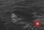 Image of LCVP Higgins Boats World War 2 Normandy France, 1944, second 33 stock footage video 65675080801
