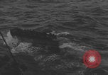 Image of LCVP Higgins Boats World War 2 Normandy France, 1944, second 37 stock footage video 65675080801