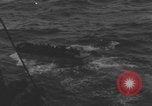 Image of LCVP Higgins Boats World War 2 Normandy France, 1944, second 38 stock footage video 65675080801