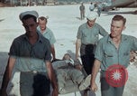 Image of Injured marines Iwo Jima Iwo Jima Japan, 1945, second 50 stock footage video 65675080802