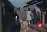 Image of Jane Kendeigh Iwo Jima Iwo Jima Japan, 1945, second 7 stock footage video 65675080803