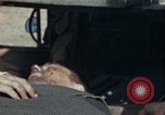 Image of Injured and deceased Marines WW2 Iwo Jima Japan, 1945, second 29 stock footage video 65675080805
