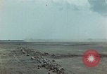 Image of Injured and deceased Marines WW2 Iwo Jima Japan, 1945, second 51 stock footage video 65675080805