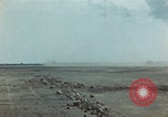 Image of Injured and deceased Marines WW2 Iwo Jima Japan, 1945, second 52 stock footage video 65675080805
