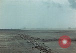Image of Injured and deceased Marines WW2 Iwo Jima Japan, 1945, second 53 stock footage video 65675080805