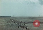 Image of Injured and deceased Marines WW2 Iwo Jima Japan, 1945, second 54 stock footage video 65675080805