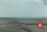 Image of Injured and deceased Marines WW2 Iwo Jima Japan, 1945, second 55 stock footage video 65675080805