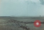 Image of Injured and deceased Marines WW2 Iwo Jima Japan, 1945, second 56 stock footage video 65675080805