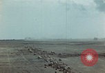 Image of Injured and deceased Marines WW2 Iwo Jima Japan, 1945, second 57 stock footage video 65675080805
