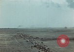 Image of Injured and deceased Marines WW2 Iwo Jima Japan, 1945, second 60 stock footage video 65675080805