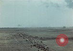 Image of Injured and deceased Marines WW2 Iwo Jima Japan, 1945, second 61 stock footage video 65675080805