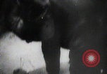 Immagine di Falò della Gioventù Hitleriana Germania, 1945, secondo 18 filmato di repertorio 65675080818
