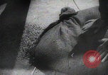 Immagine di Falò della Gioventù Hitleriana Germania, 1945, secondo 19 filmato di repertorio 65675080818