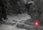 Image of American POW captured by Germans Ardennes Western Front, 1944, second 38 stock footage video 65675080824