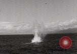 Image of US Navy activity Pacific Theater WW2 Hawaii United States USA, 1942, second 30 stock footage video 65675080832