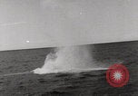 Image of US Navy activity Pacific Theater WW2 Hawaii United States USA, 1942, second 35 stock footage video 65675080832