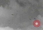 Image of B-17 aircraft World War 2 Hawaii United States USA, 1942, second 36 stock footage video 65675080833