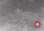Image of B-17 aircraft World War 2 Hawaii United States USA, 1942, second 40 stock footage video 65675080833