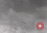 Image of B-17 aircraft World War 2 Hawaii United States USA, 1942, second 41 stock footage video 65675080833