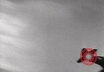 Image of Pearl Harbor bombings Pearl Harbor Hawaii USA, 1941, second 25 stock footage video 65675080834