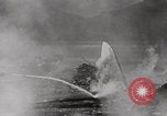 Image of Pearl Harbor bombings Pearl Harbor Hawaii USA, 1941, second 55 stock footage video 65675080834