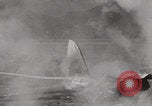 Image of Pearl Harbor bombings Pearl Harbor Hawaii USA, 1941, second 57 stock footage video 65675080834
