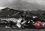 Image of US PBY Catalina Seaplane WW2 Pearl Harbor Hawaii USA, 1941, second 20 stock footage video 65675080835