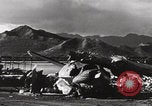 Image of US PBY Catalina Seaplane WW2 Pearl Harbor Hawaii USA, 1941, second 21 stock footage video 65675080835
