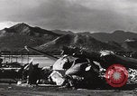 Image of US PBY Catalina Seaplane WW2 Pearl Harbor Hawaii USA, 1941, second 27 stock footage video 65675080835