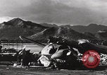 Image of US PBY Catalina Seaplane WW2 Pearl Harbor Hawaii USA, 1941, second 28 stock footage video 65675080835