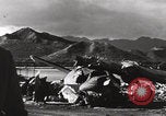Image of US PBY Catalina Seaplane WW2 Pearl Harbor Hawaii USA, 1941, second 29 stock footage video 65675080835