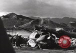Image of US PBY Catalina Seaplane WW2 Pearl Harbor Hawaii USA, 1941, second 31 stock footage video 65675080835
