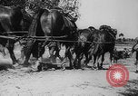 Image of German soldiers invade Poland Poland, 1939, second 34 stock footage video 65675080840