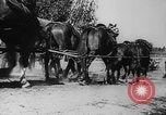 Image of German soldiers invade Poland Poland, 1939, second 35 stock footage video 65675080840