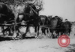 Image of German soldiers invade Poland Poland, 1939, second 36 stock footage video 65675080840