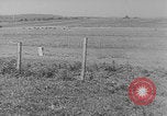 Immagine di Esercitazioni di squadriglia aerea tedesca Polonia, 1939, secondo 28 filmato di repertorio 65675080846